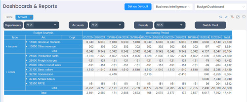 Budgeting Pivot Dashboard