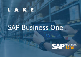 SAP Business One Guides